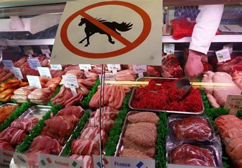 noodle pure taboo|Horse meat .